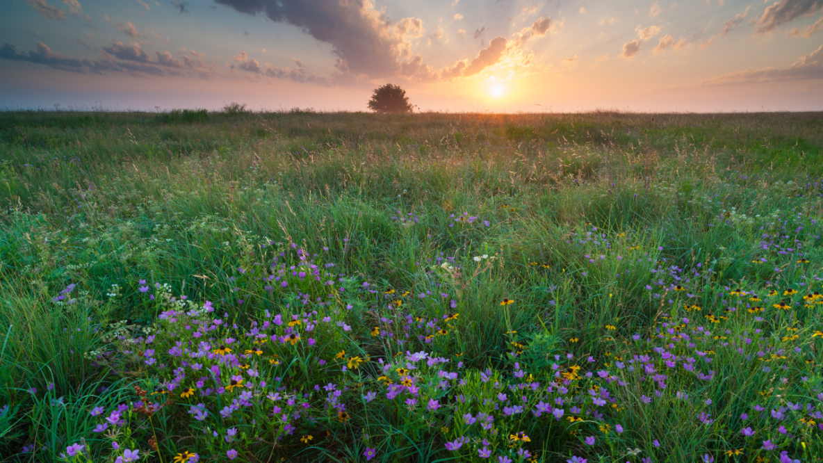 Living in the Rural South is a Simpler Way of Life