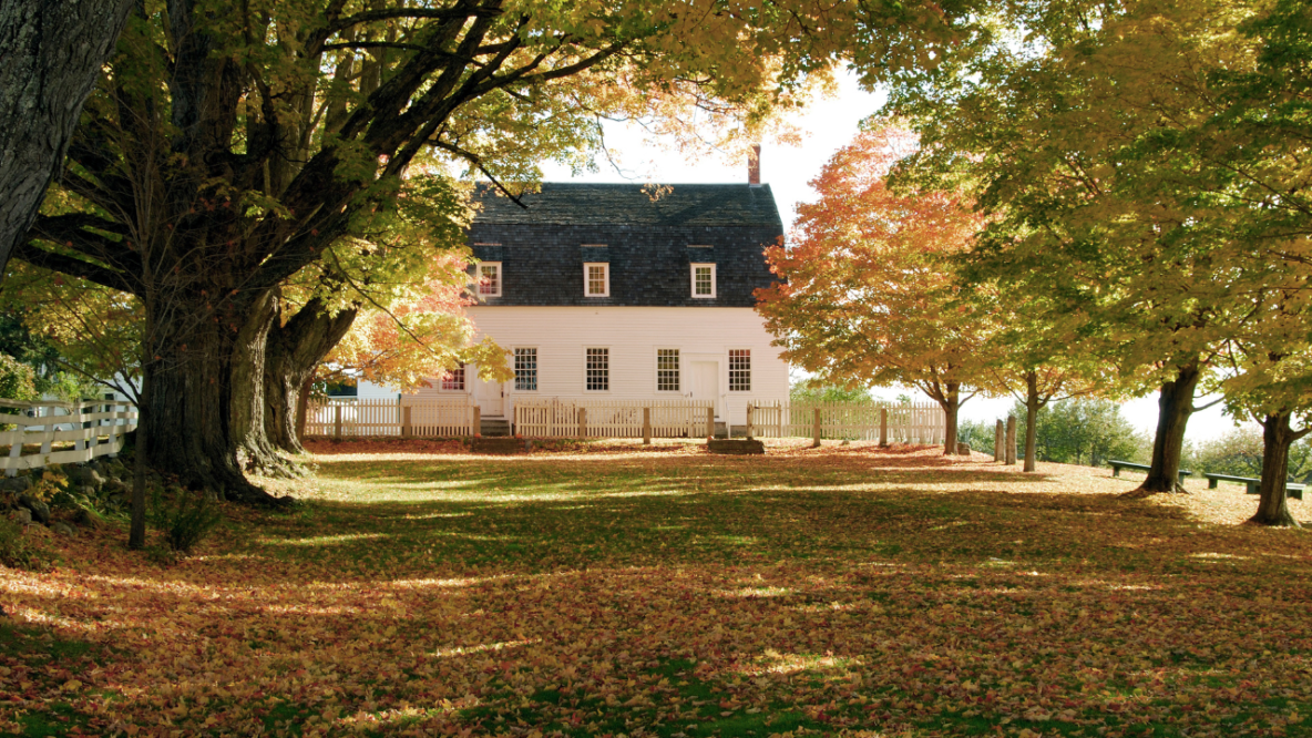 The Pros and Cons of Owning Farmland in the South What to Know Before You Buy