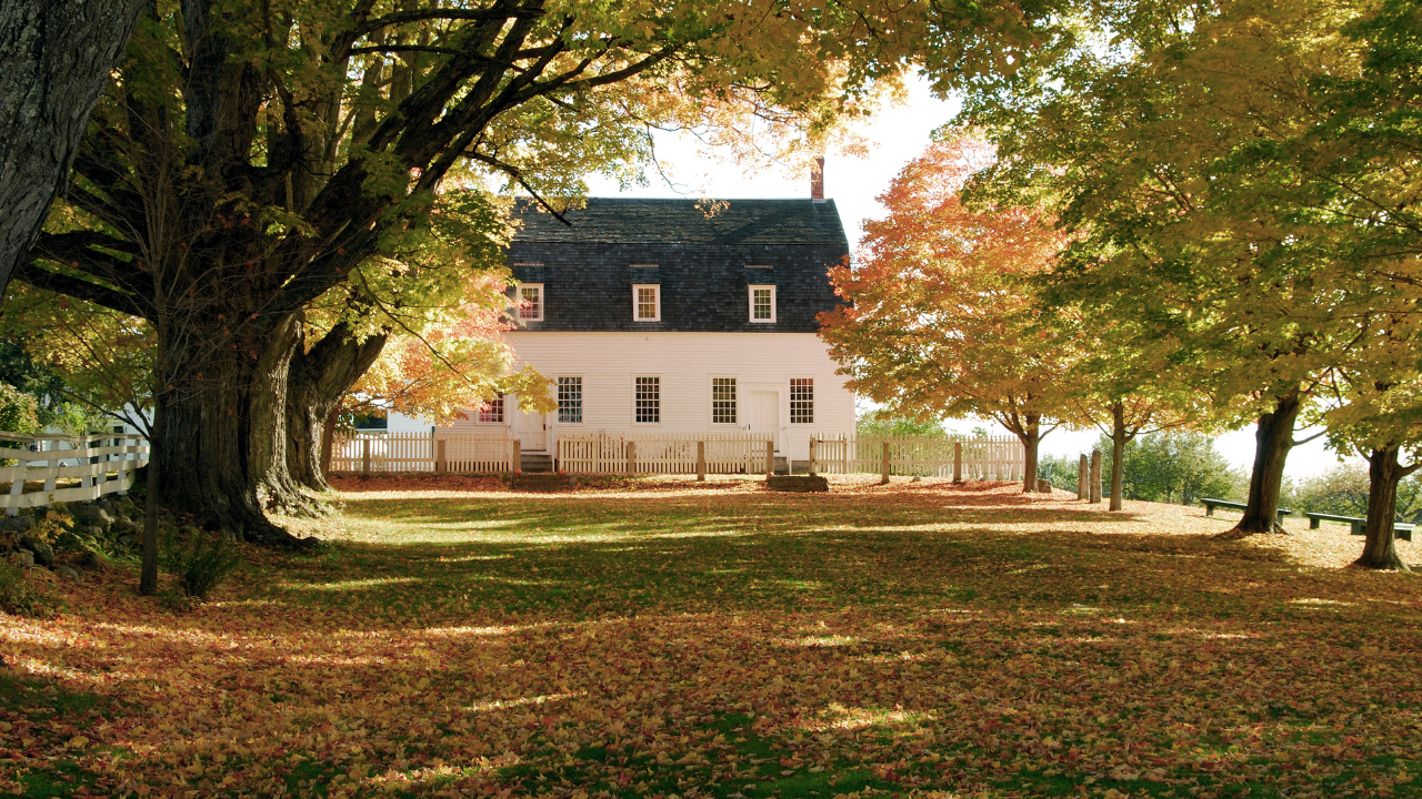 Featured image for “Considering Farmland? What to Know Before Buying”