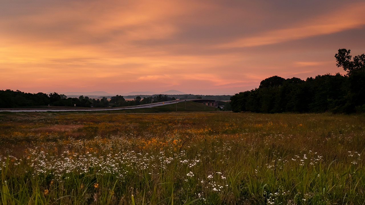 Featured image for “Discover the Hidden Gems of Eastern Oklahoma”